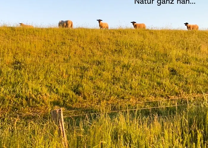 Apartamento Kuestenschwalbe Wendtorf